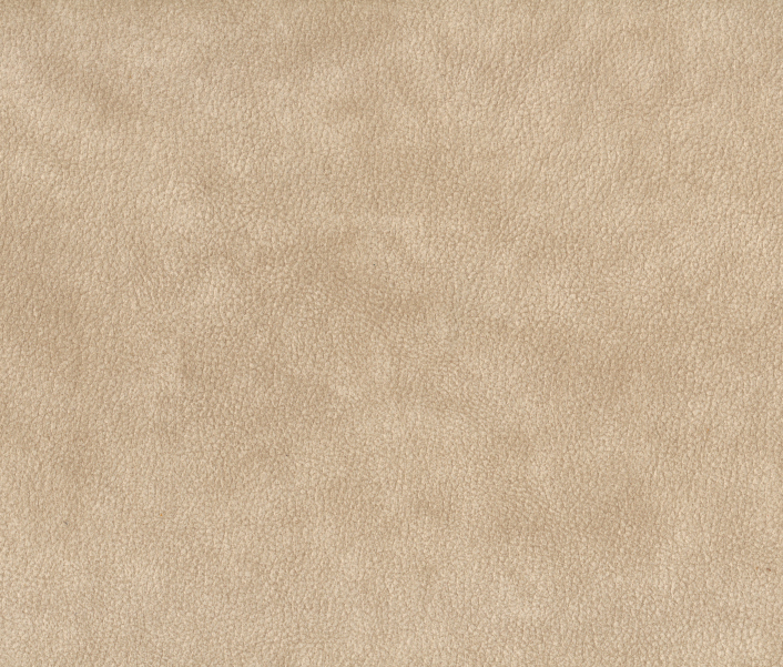 244