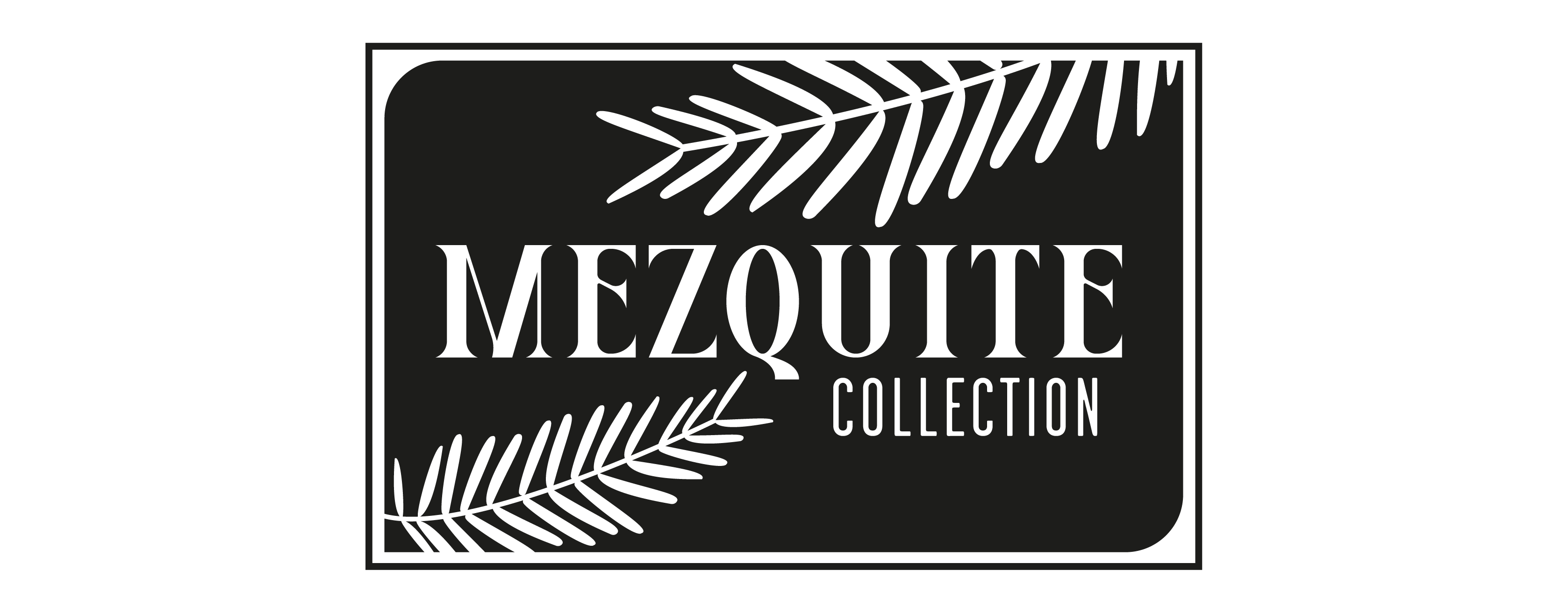 Mezquite